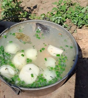 Неповторимый вкус ухи: как сделать идеальный пикник на природе